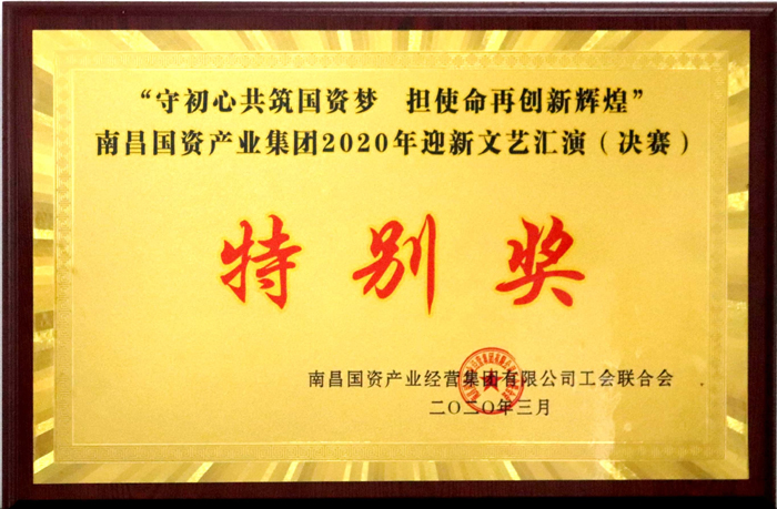 2020.3 2020年迎新文艺汇演（决赛）特别奖.jpg